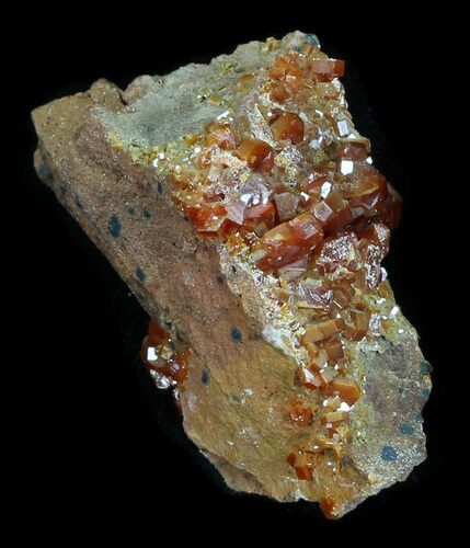 Bargain Red Vanadinite Crystal Cluster - Morocco #32340